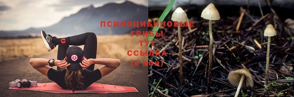 винт Майский