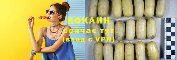 винт Майский