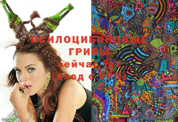 винт Майский