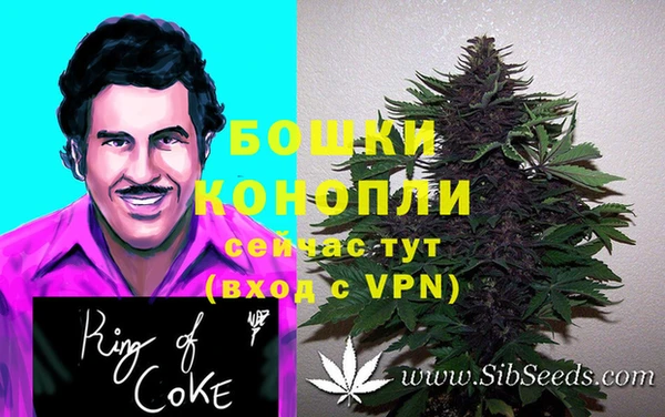 винт Майский